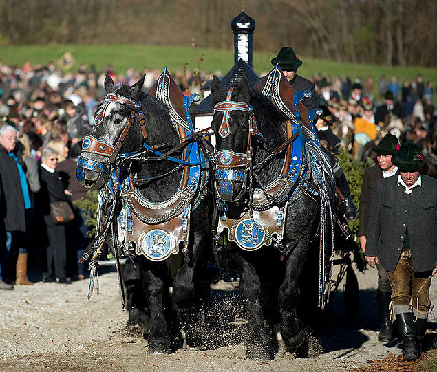 Traumhaftes Wetter und reibungsloser Ablauf: Bilder von den Leonhardifahrten 2015.