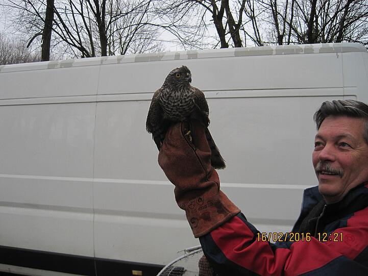 Vor dem Parkhaus lässt der Tierschützer den Vogel fliegen.