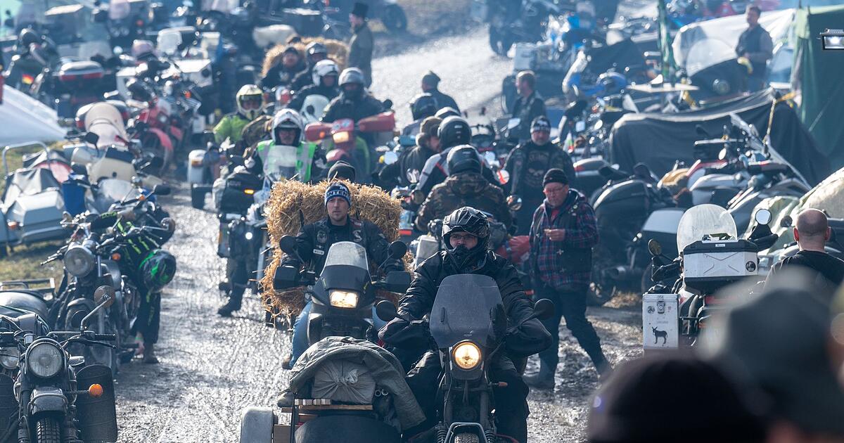 Scharfe-Vorschriften-sollen-Elefantentreffen-retten