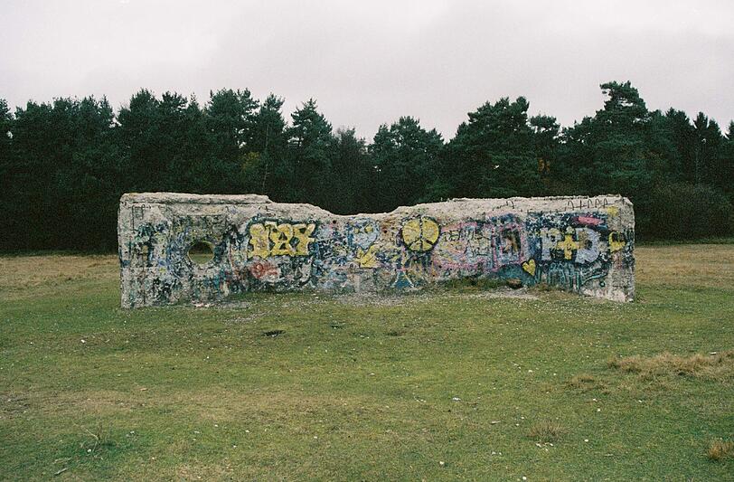 Auf 200 Hektar Fläche finden sich auf der Panzerwiese über 180 verschiedene Pflanzenarten - und ein Stück Beton mit Graffiti.