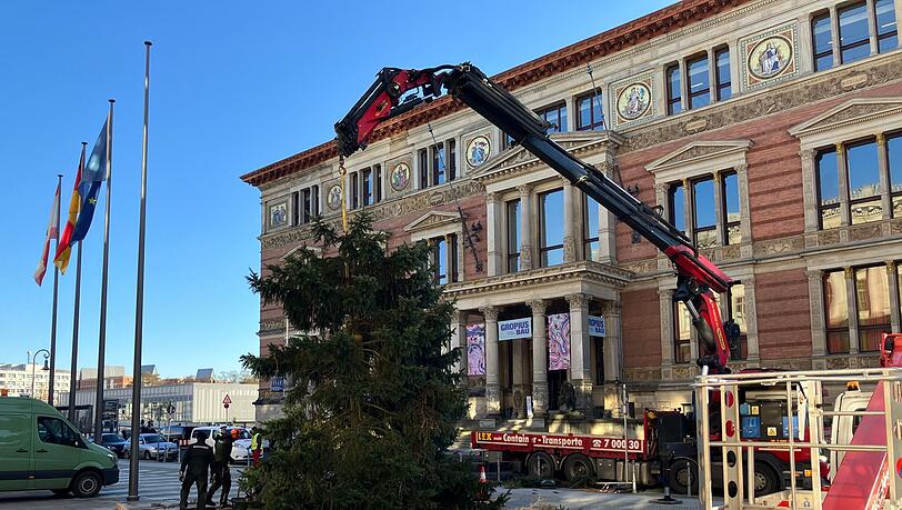 Pannen mit Weihnachtsbäumen sind in Berlin keine Seltenheit.