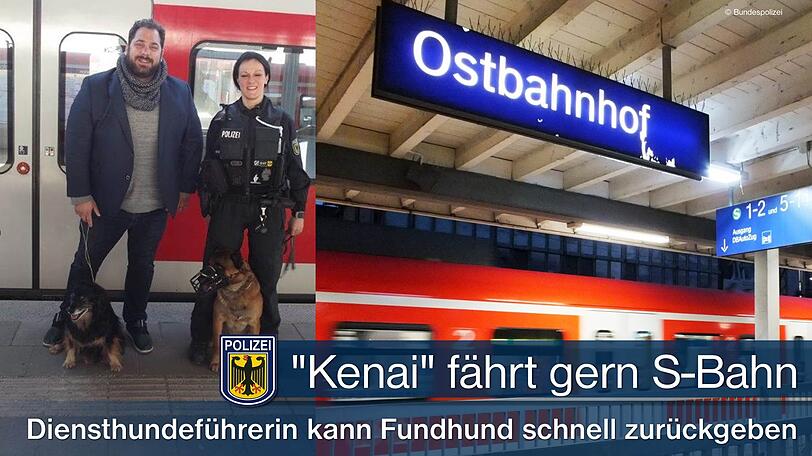 Der Mischlingshund büxt gerne aus und fährt mit der S-Bahn.