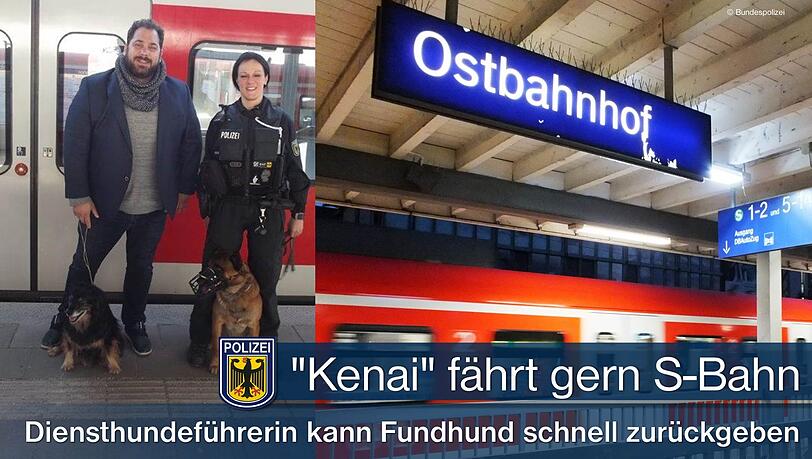 Der Mischlingshund büxt gerne aus und fährt mit der S-Bahn. Der Mischlingshund büxt gerne aus und fährt mit der S-Bahn.