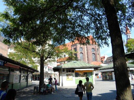 Die Akazien am Viktualienmarkt sind von Blattläusen befallen. Die Stadt sucht nach Lösungen. Viele AZ-Leser haben geschrieben: Die Bäume dürfen nicht fallen!