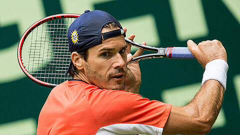 Tommy Haas trifft in der ersten Runde auf Fernando Verdasco.