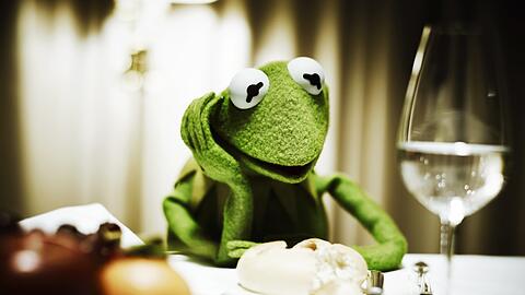 Ein Hingucker: Kermit 2012 am fein gedeckten Tisch in einem Berliner Luxushotel.