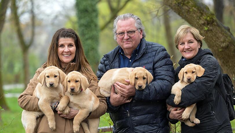 Paten auf Zeit gesucht: Wolfgang und Maria Seitle (r.) sowie Hundetrainerin Michaela Beric hoffen, dass sich würdige Tierfreunde melden und dabei helfen, dass die vier noch namenlosenLabrador-Welpen in mehreren Monaten zu Blindenführhunden ausgebildet werden. Das EhepaarSeitle betreibt seit 34 Jahren eine Blindenführhundschule in Oberbayern. Paten auf Zeit gesucht: Wolfgang und Maria Seitle (r.) sowie Hundetrainerin Michaela Beric hoffen, dass sich würdige Tierfreunde melden und dabei helfen, dass die vier noch namenlosenLabrador-Welpen in mehreren Monaten zu Blindenführhunden ausgebildet werden. Das EhepaarSeitle betreibt seit 34 Jahren eine Blindenführhundschule in Oberbayern.