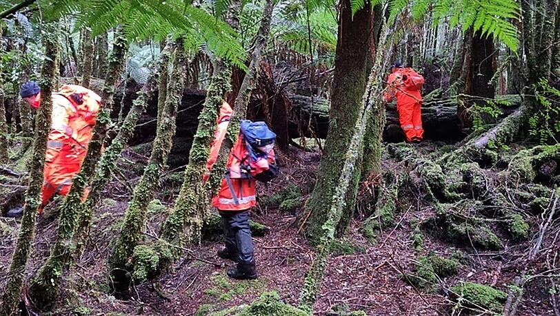 Einsatzkräfte suchten 2023 die dichten Wälder Tasmaniens nach der 31-Jährigen ab. (Archivbild) Einsatzkräfte suchten 2023 die dichten Wälder Tasmaniens nach der 31-Jährigen ab. (Archivbild)