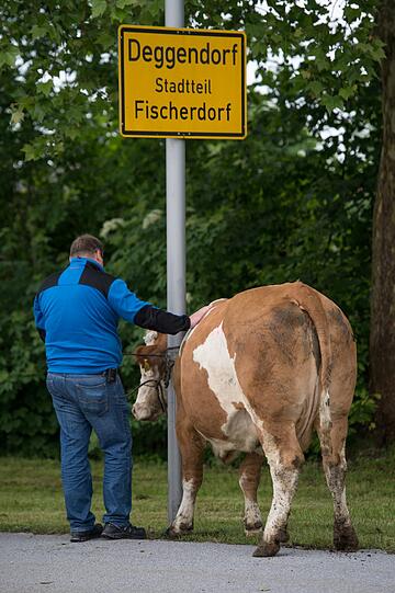 In Deggendorf mussten auch zahlreiche Tiere evakuiert werden.