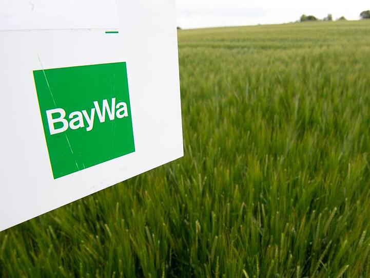 Das Logo von BayWa steht auf einem Schild in einem Feld mit Sommergetreide. Foto: Fabian Sommer/dpa/Archivbild