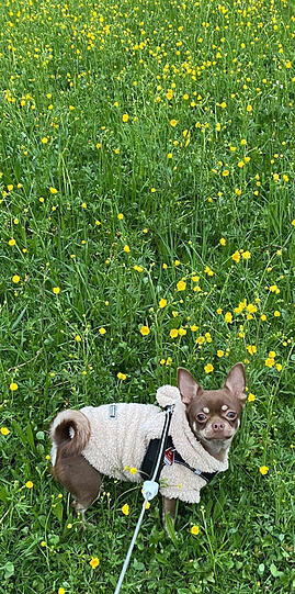Bella