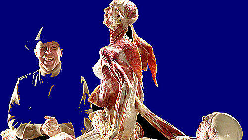 Sorgte für Aufruhr: Das bereits gezeigte Plastinat Sorgte für Aufruhr: Das bereits gezeigte Plastinat