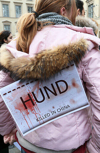 Manche Aktivisten trugen auch Schilder wie dieses: "Hund killed in China."