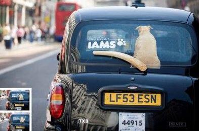 Guerilla Marketing ist eine äußerst amüsante Art der Werbung, hier für ein Hundefutter.