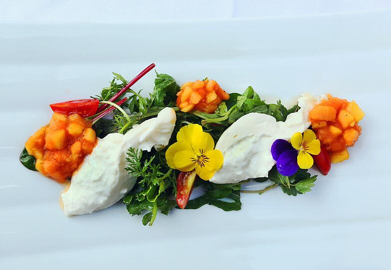 Der 1. Gang: Burrata mit Papaya-Salsa auf Wildkräutersalat. Klicken Sie sich hier durch das ganze Menü...