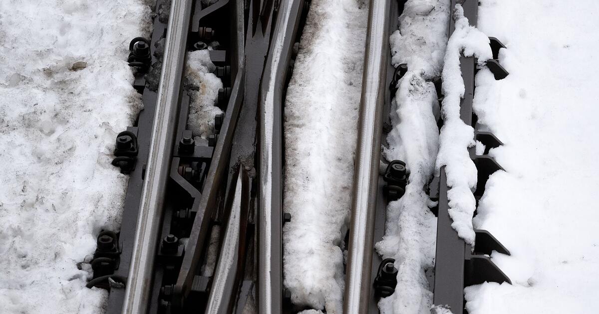 B-ume-auf-Gleisen-Zugstrecken-um-N-rnberg-gesperrt