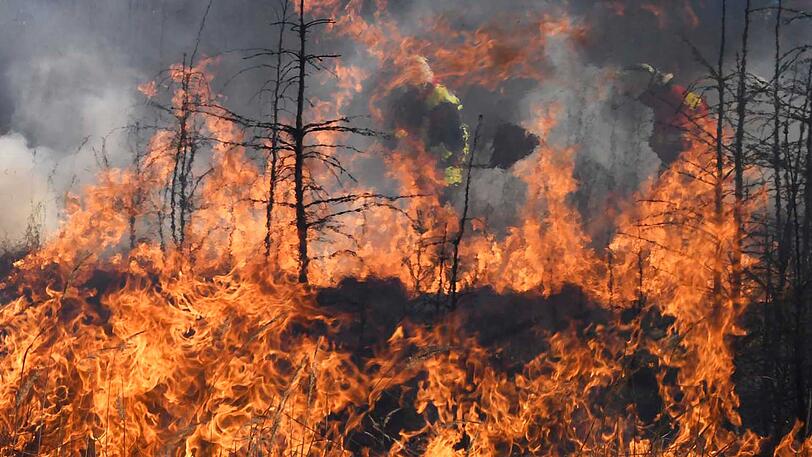 ...Spaziergänger hatten die Flammen bemerkt. Die Feuerwehr konnte die Brände löschen.
