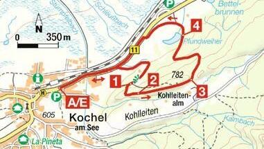 Moorwanderung bei Kochel am See. Moorwanderung bei Kochel am See.