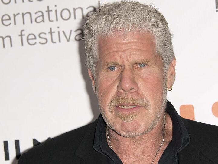 Die Ehe von Ron Perlman ist gescheitert.