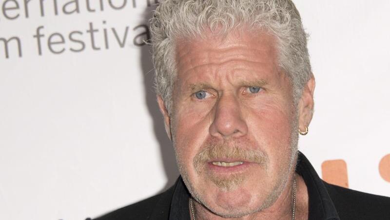 Die Ehe von Ron Perlman ist gescheitert. Die Ehe von Ron Perlman ist gescheitert.