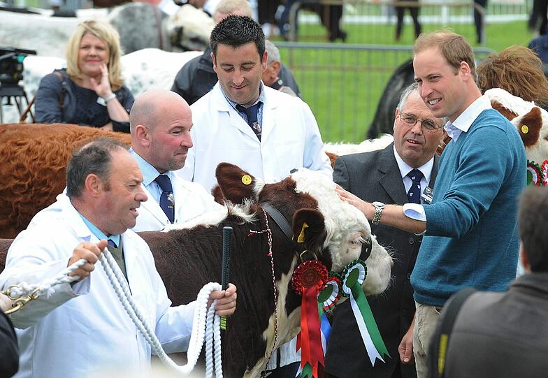 Prinz William bei der "Anglesey Show".