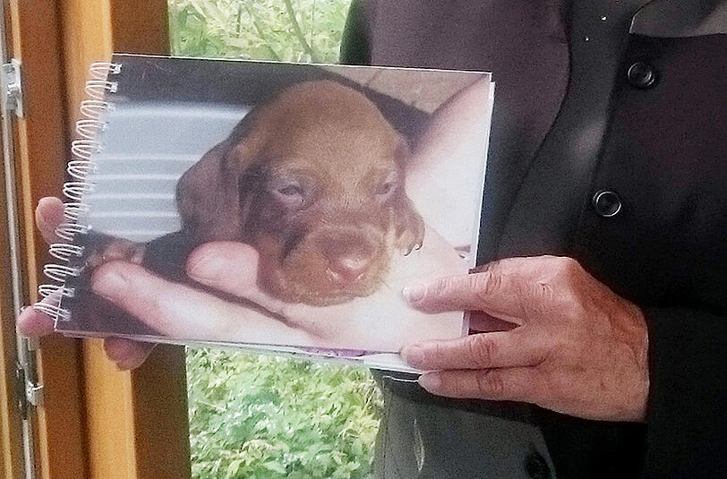 Der Streit um Dackel Bonnie beschäftigt seit längerem die Justiz in Brandenburg. Foto: Enrico Bellin/Archiv