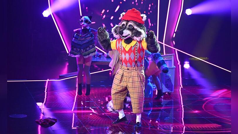 Der Waschbär musste sich schon in der zweiten Folge von "The Masked Singer" aus der Show verabschieden.