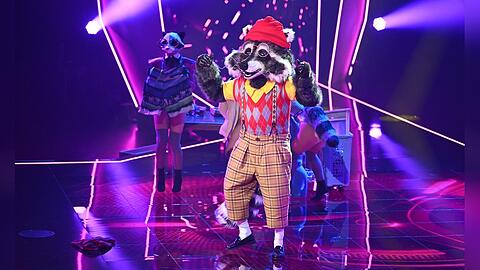 Der Waschbär musste sich schon in der zweiten Folge von "The Masked Singer" aus der Show verabschieden.