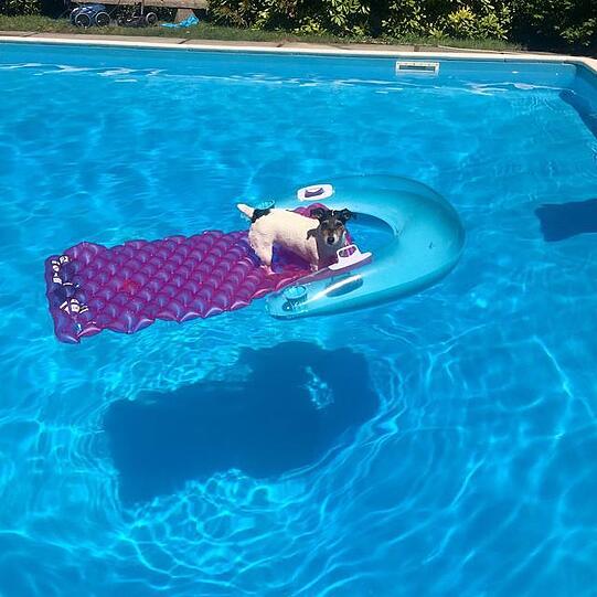 Entspannung auf der Luftmatratze muss sein: Audrey cool im Pool.