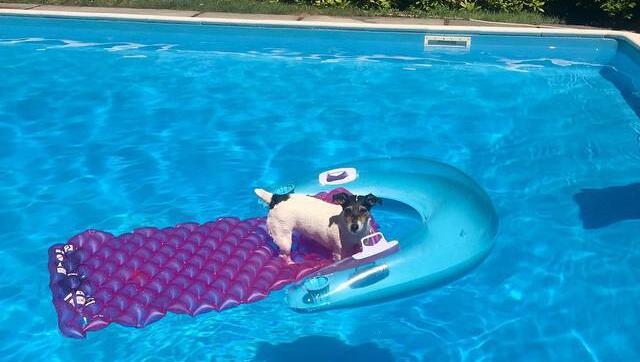 Entspannung auf der Luftmatratze muss sein: Audrey cool im Pool. Entspannung auf der Luftmatratze muss sein: Audrey cool im Pool.