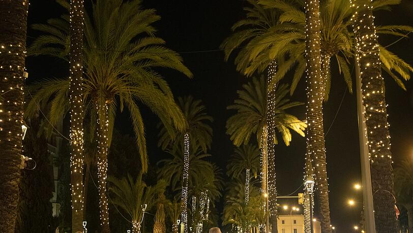 Palma hat die Weihnachtsbeleuchtung angeschaltet.