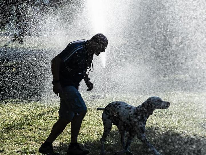 Hund und Herrchen mit der selben Intention: Ab unter die Wasserfontäne eines Rasensprengers im Tiergarten Berlin.