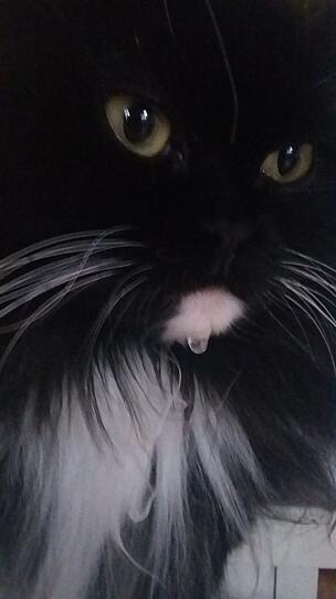 Tabsi