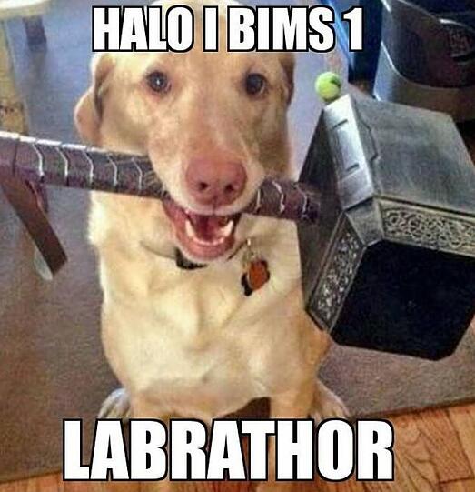 Labrathor