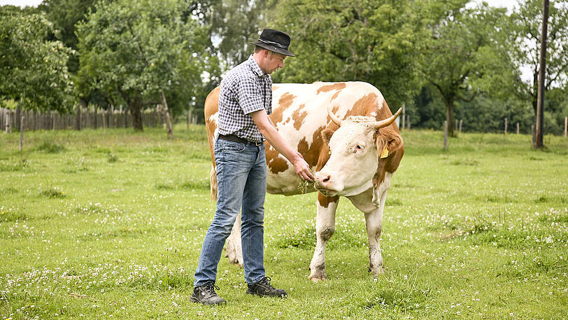 Landwirt Albert Stürzer ist einer von mehr als 165 Öko-Bauern im Mangfalltal. Die SWM unterstützen die Umstellung der Höfe und helfen bei der Vermarktung der Produkte.