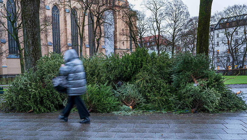Vor Kurzem schm&uuml;ckten sie noch die Wohnzimmer der M&uuml;nchner, jetzt m&uuml;ssen sie entsorgt werden. Doch so bitte nicht: In Haidhausen stapelten sich die ausgedienten Christb&auml;ume vergangenes Jahr am Stra&szlig;enrand. Dabei hat der AWM extra ausgewiesene Stellen daf&uuml;r.