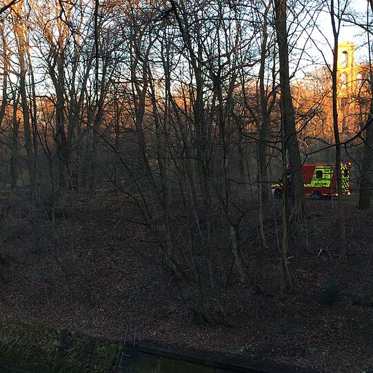 Die Helfer auf dem Waldstück