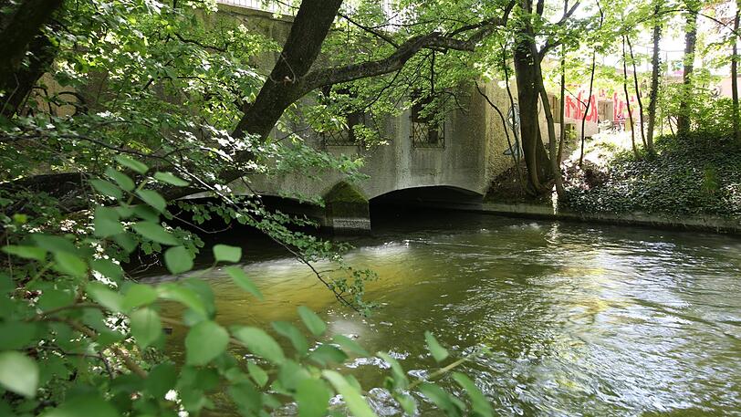 Unter der Rosenheimer Straße taucht der Bach kurz ab und wieder auf.
