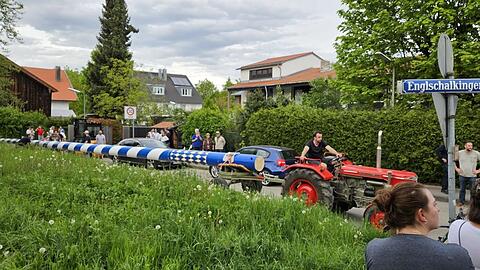28 Meter misst das Stangerl, das am 1. Mai in Englschalking beim Nikolauskircherl neu aufgestellt wird. Bis dahin müssen die Wachburschen von der "Schützengesellschaft Schützenlisl II Englschalking" (die es hier gerade transportieren) noch sauber aufpassen, dass das Trumm ihnen nicht noch vorher geklaut wird.
