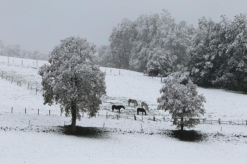 Wintereinbruch in Bayern: Die Bilder aus München und dem Umland