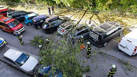 In der Holzstraße ist ein Baum auf parkende Autos gestürzt.