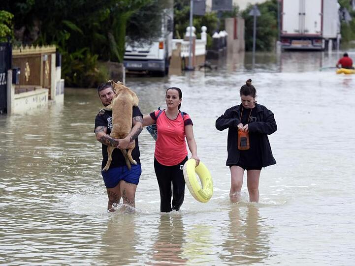 Ein Hund muss nach heftigen Regenfällen über eine überflutete Straße durch den Ort El Raal im Murcia getragen werden.