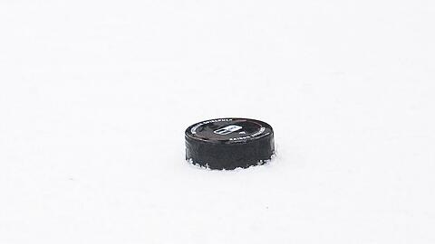 Die N&uuml;rnberg Ice Tigers bessern in der Defensive nach. (Archivbild)