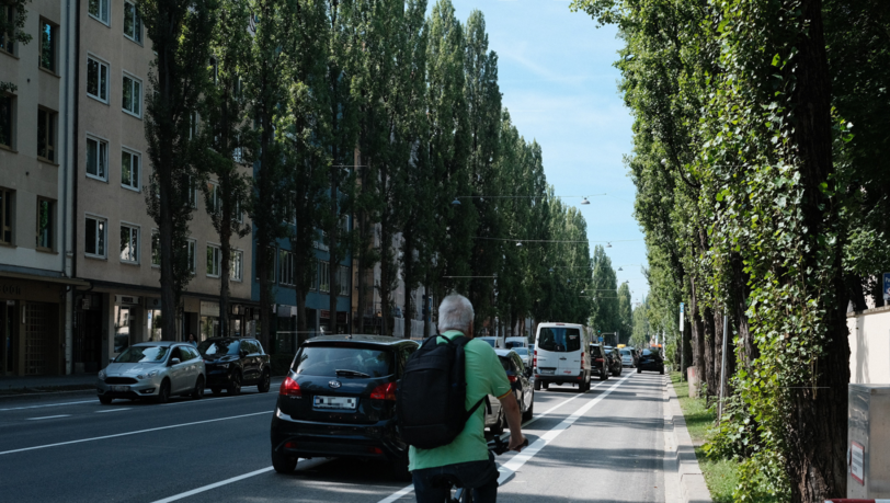 Ganz ungewohnt sieht die Lindwurmstraße noch aus mit dem neuen Radweg auf der Fahrbahn.