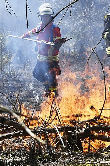 Insgesamt brannte fast ein Hektar frisch aufgeforsteter Wald. Die Feuerwehr musste das Wasser zur Einsatzstelle transportieren...