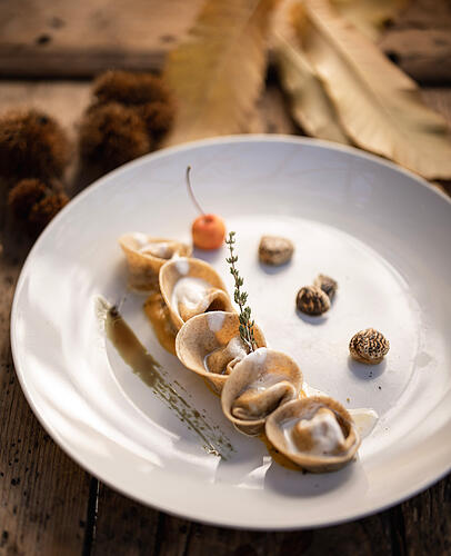Kreativ angerichtet und tief in der Region verwurzelt: S&uuml;dtiroler Aromen neu interpretiert &ndash; ein Genussmoment voller Leichtigkeit und Raffinesse.