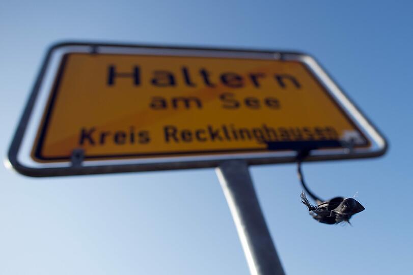 Bilder von der Germanwings-Katastrophe...