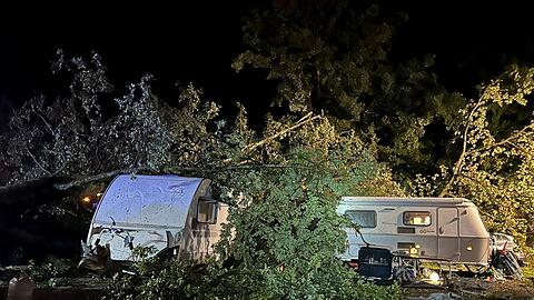 Bäume liegen nach einem Unwetter auf Campingwagen auf einem Campingplatz.