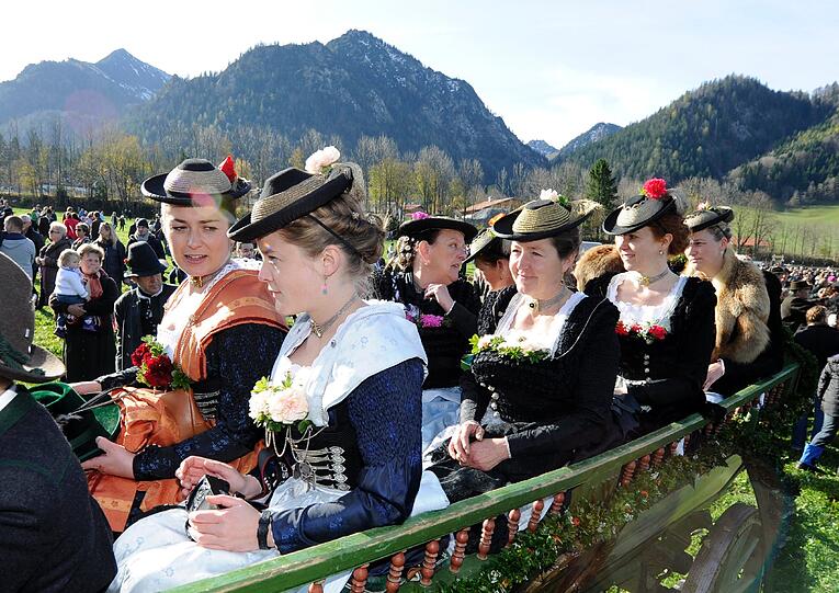 So schön war der Leonhardiritt: Bei strahlendem Sonnenschein zog der Traditions-Zug vom Schliersee nach Fischhausen. Die schönsten Bilder.