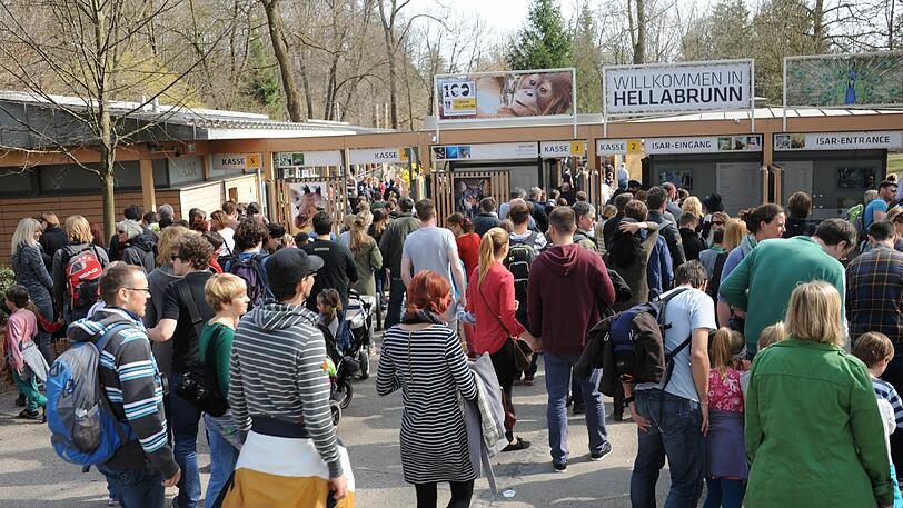Großer Ansturm im Tierpark Hellabrunn: Hier wollten viele Besucher die Eisbärenbabys sehen.